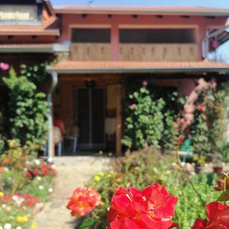 Apartman Mika Soko Banja Ngoại thất bức ảnh