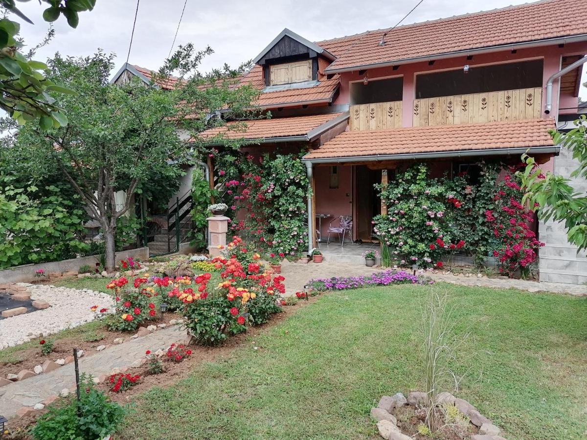 Apartman Mika Soko Banja Ngoại thất bức ảnh