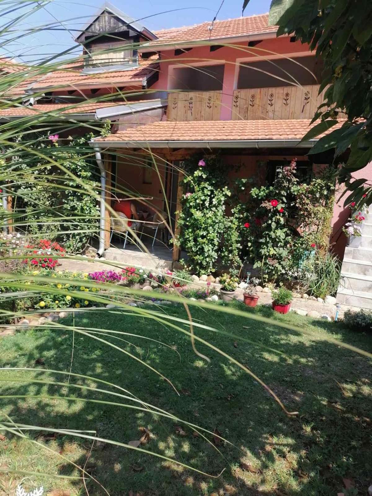 Apartman Mika Soko Banja Ngoại thất bức ảnh